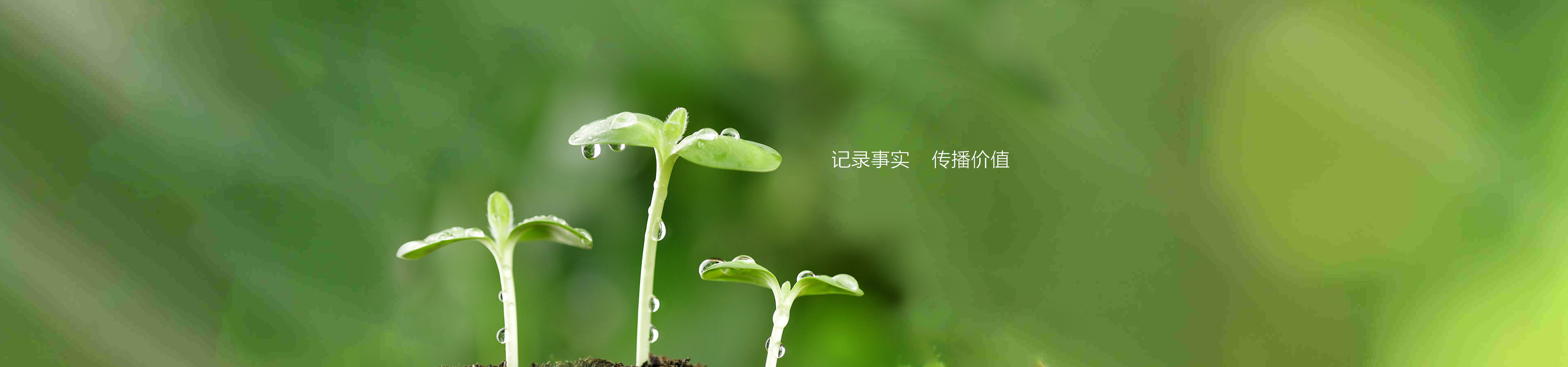 產(chǎn)品中心_banner